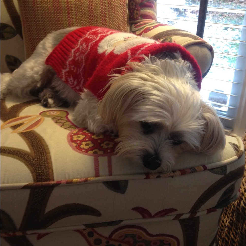 Meet your Posher, Karen